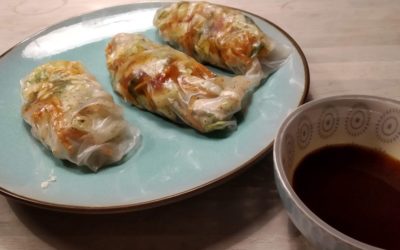Summer Rolls mit Gemüse und Hühnchen